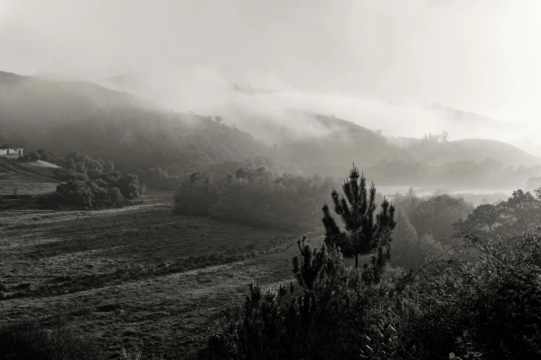 fog rolls down from the mountain, creating a thick layer of fog