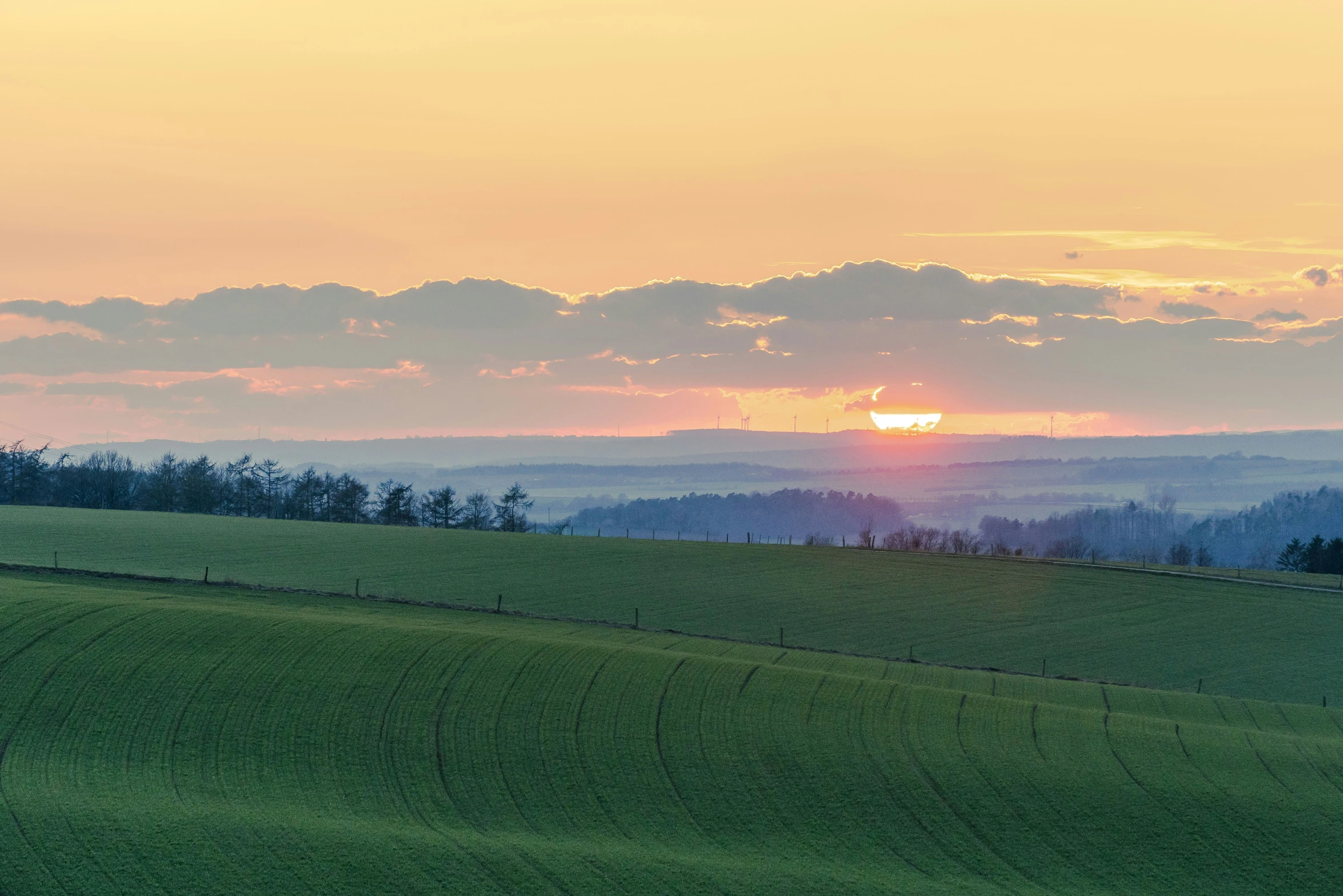 a large field filled with lush green grass