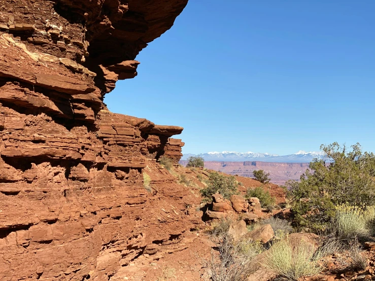 some red rocks a tree and mountains in the distance