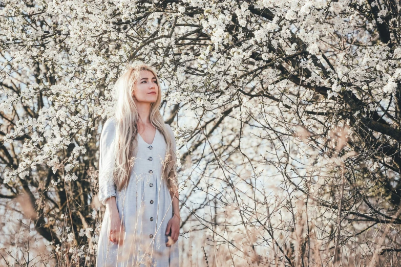 a beautiful woman in a dress poses under the blossoming trees