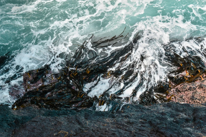 the top view of an ocean rocky shoreline