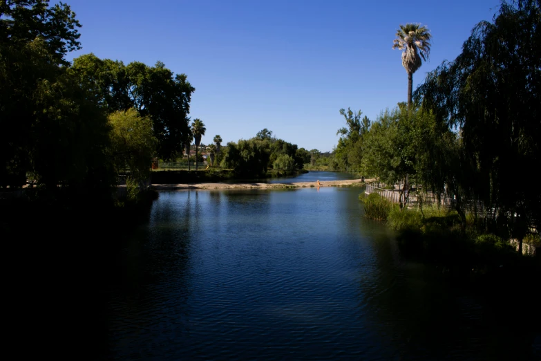 an expansive blue water area with palm trees near a small canal