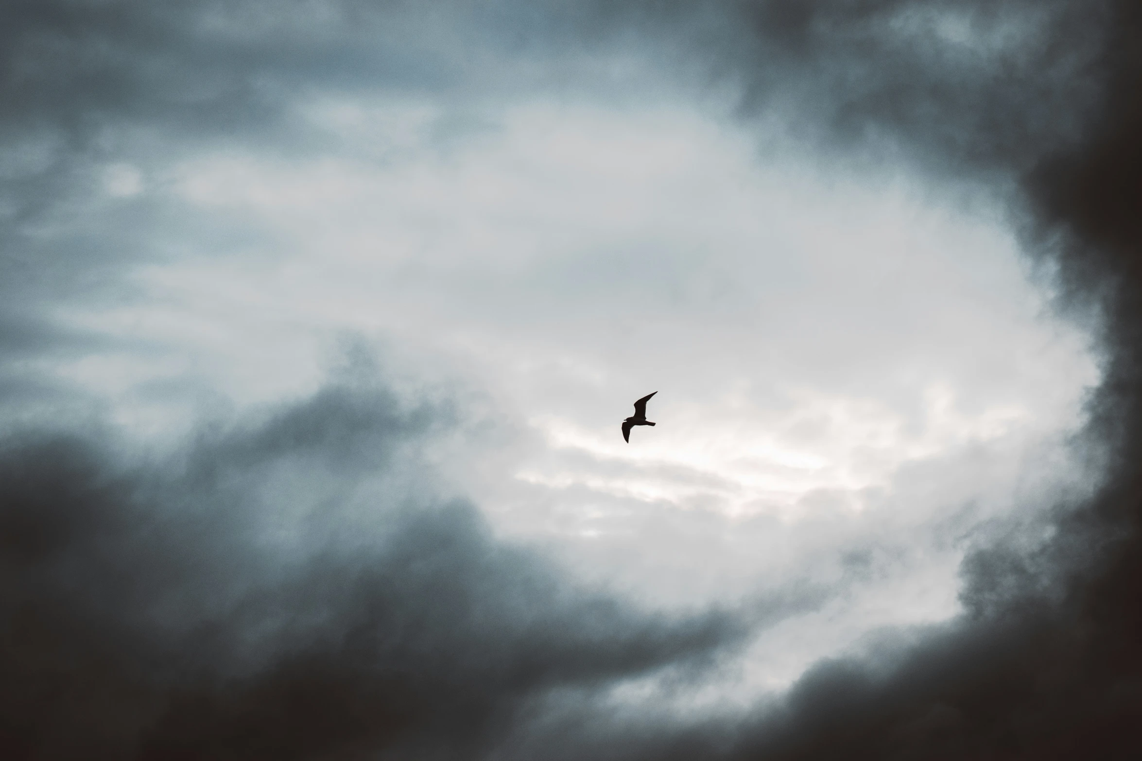 a bird flies through dark grey clouds with a small bird flying nearby