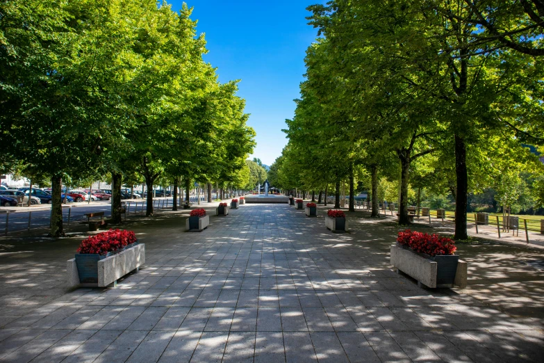 a street lined with benches covered in flowers