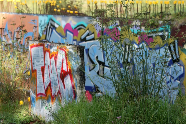 an image of graffiti on the wall and in the grass