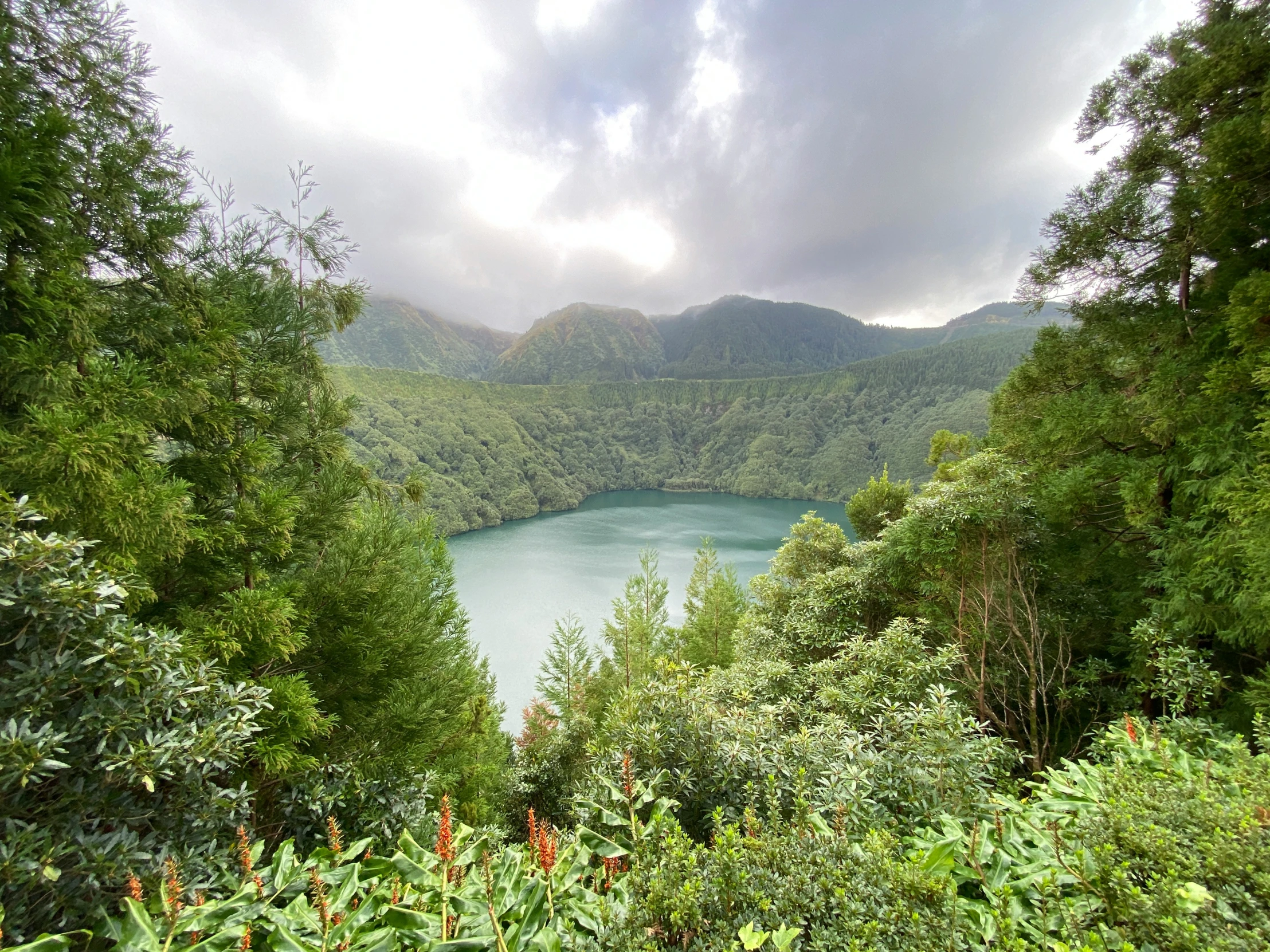 a lake surrounded by lots of trees in the middle of a forest