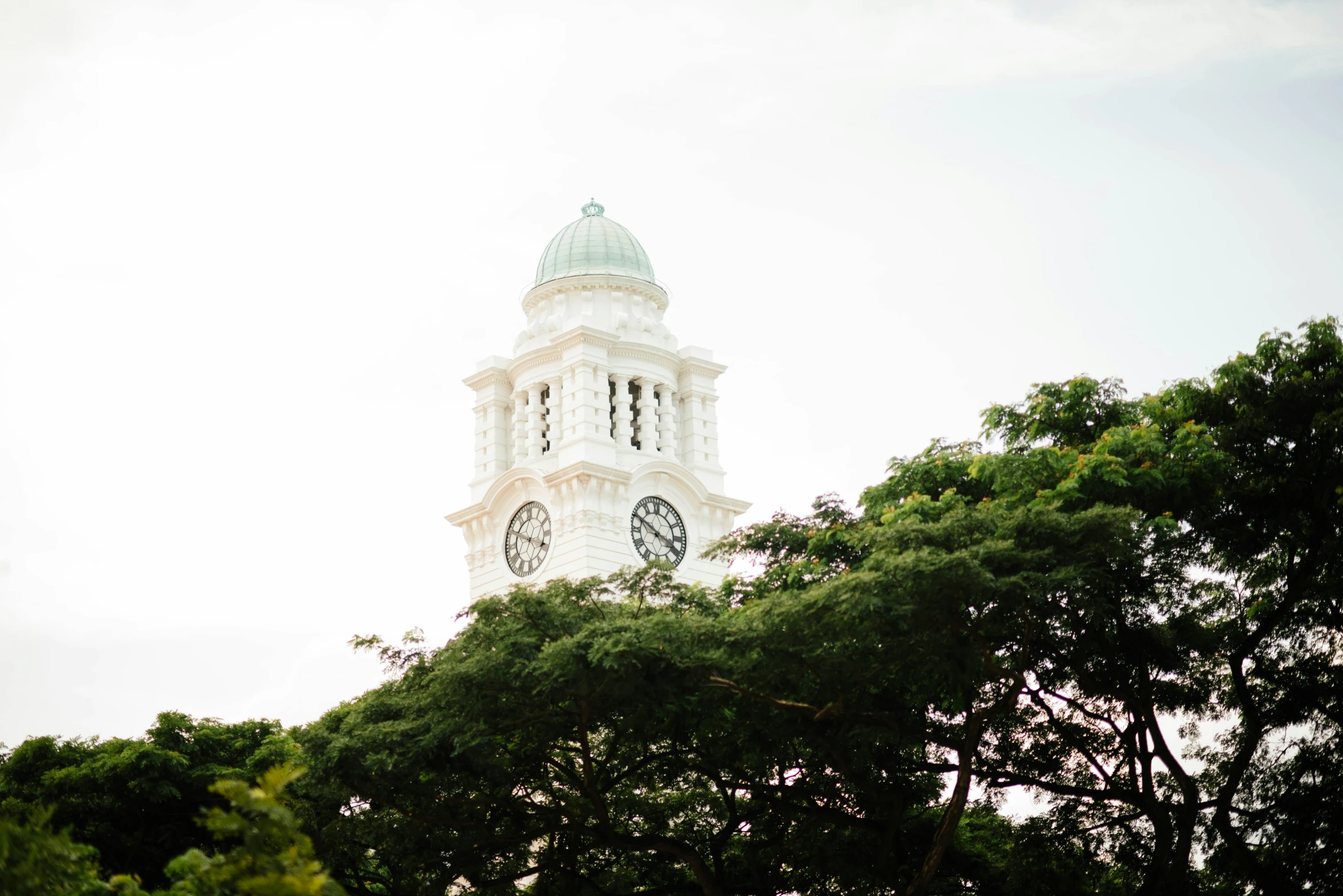 there is a clock tower that has many trees in front