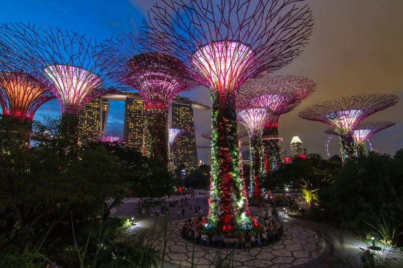 a park with lighted trees and people standing in the park