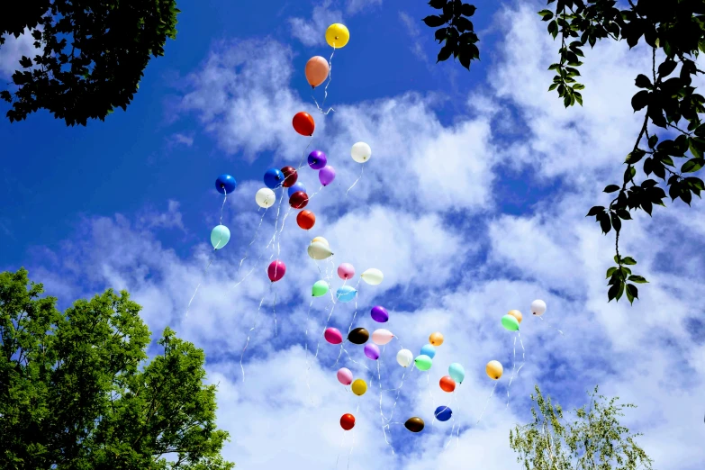 balloons float in the sky above trees on a sunny day