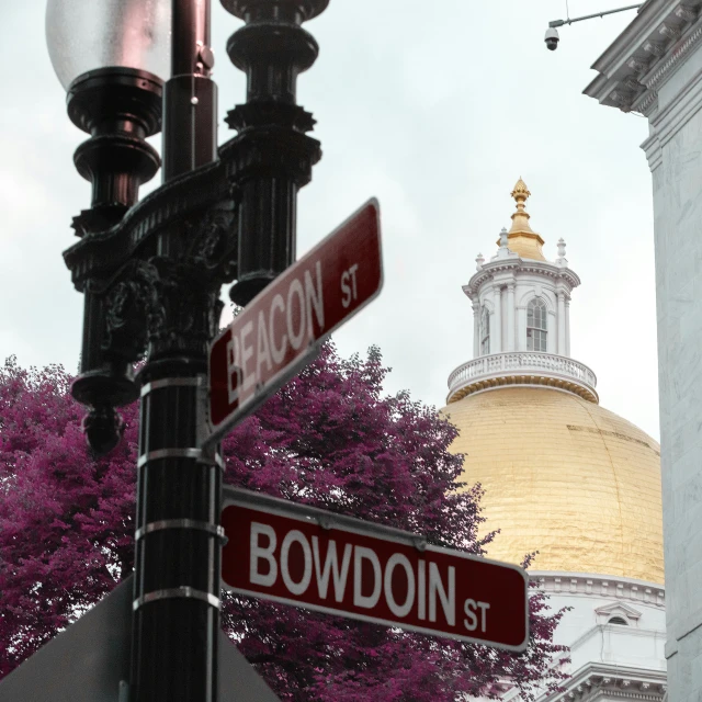 a street sign and a street light on bowdon street