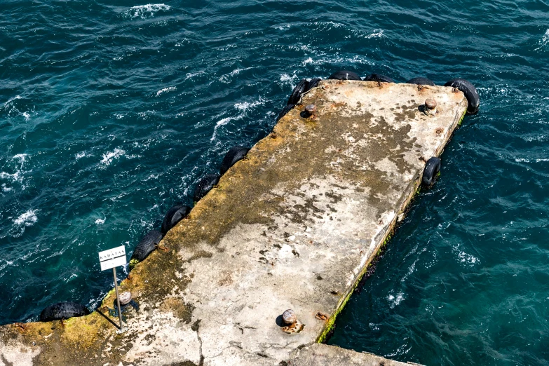 there are two birds that are sitting on a concrete pier