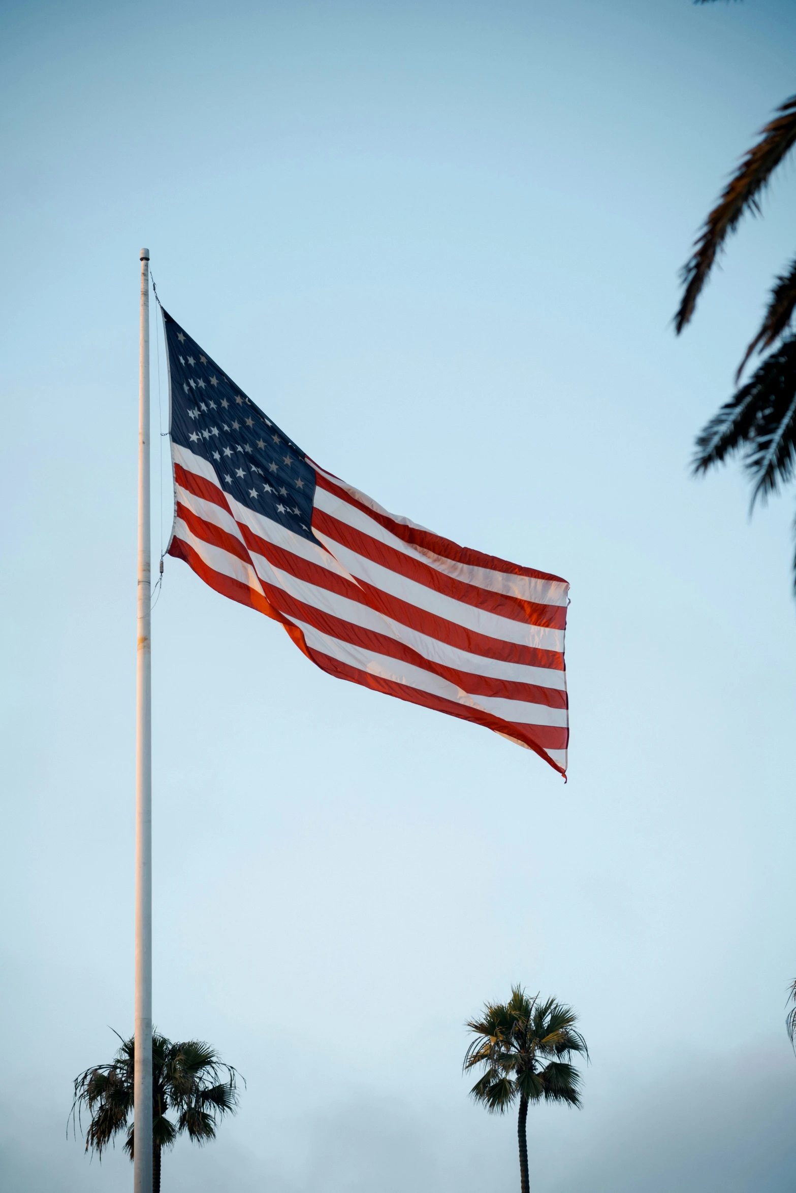 a flag that is flying on top of a pole