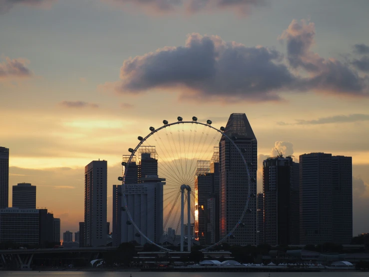 a large ferris wheel and some buildings at dusk