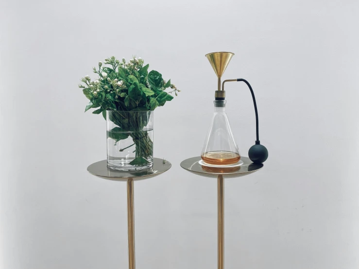 two ss table side tables with plants and glass vases