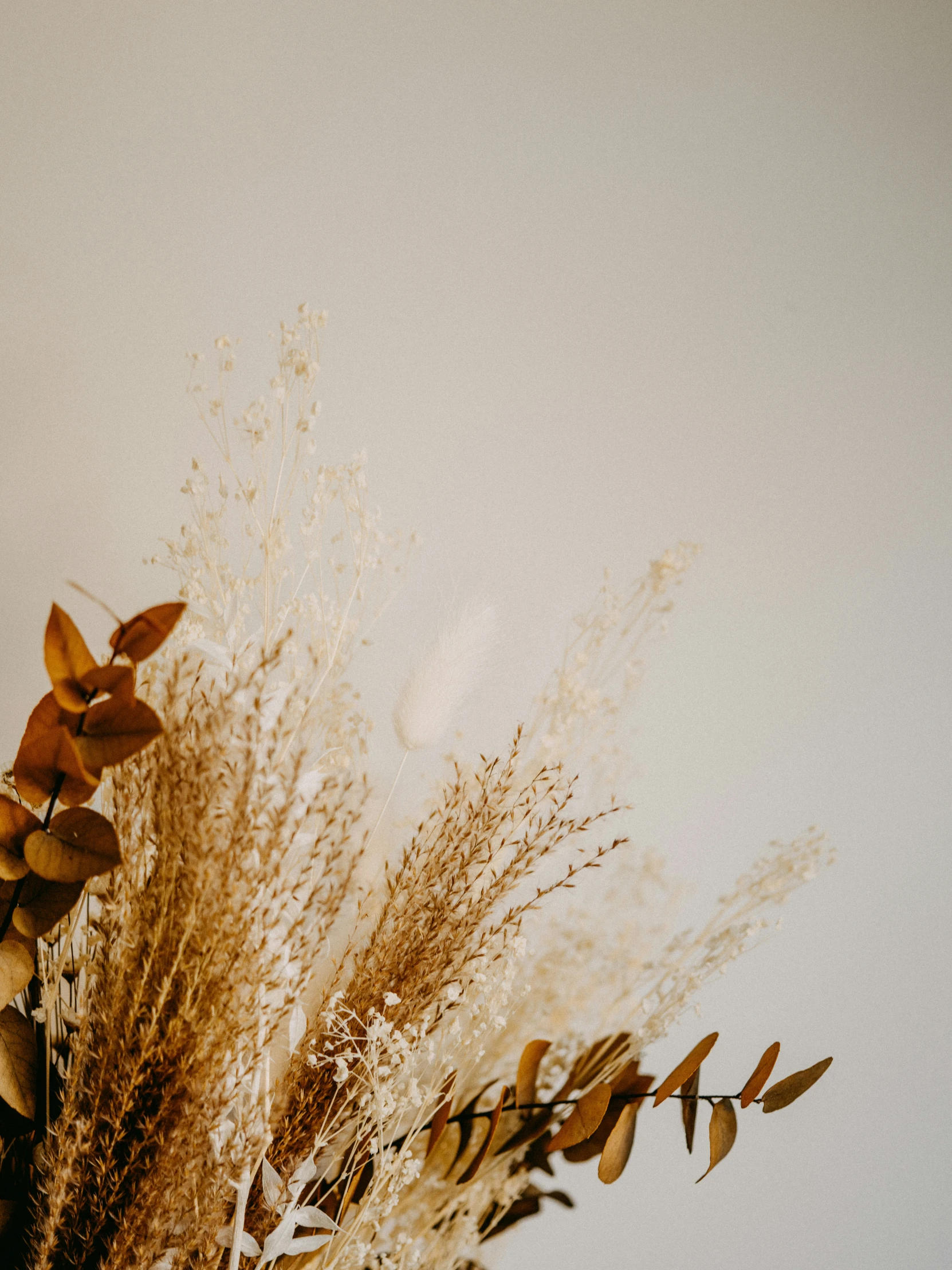 a plant that is on top of a vase