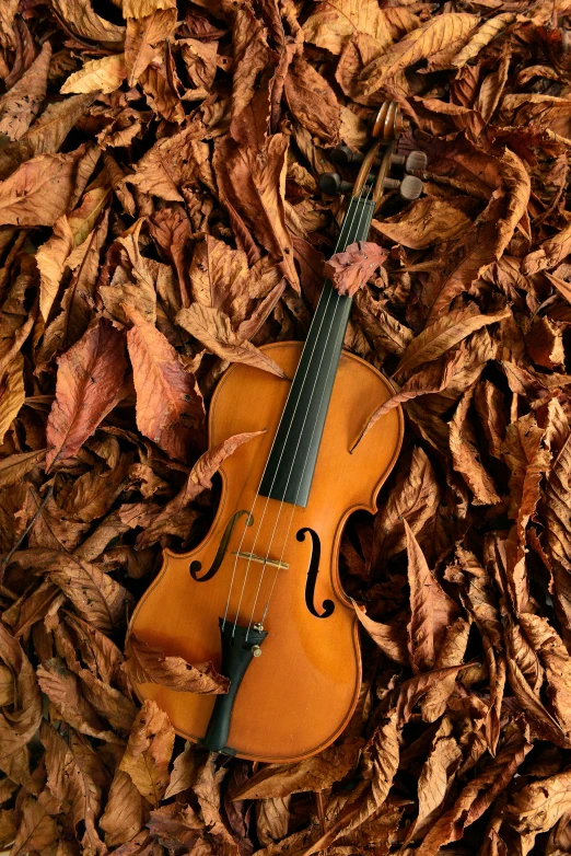 a violin lying on top of wood shavings