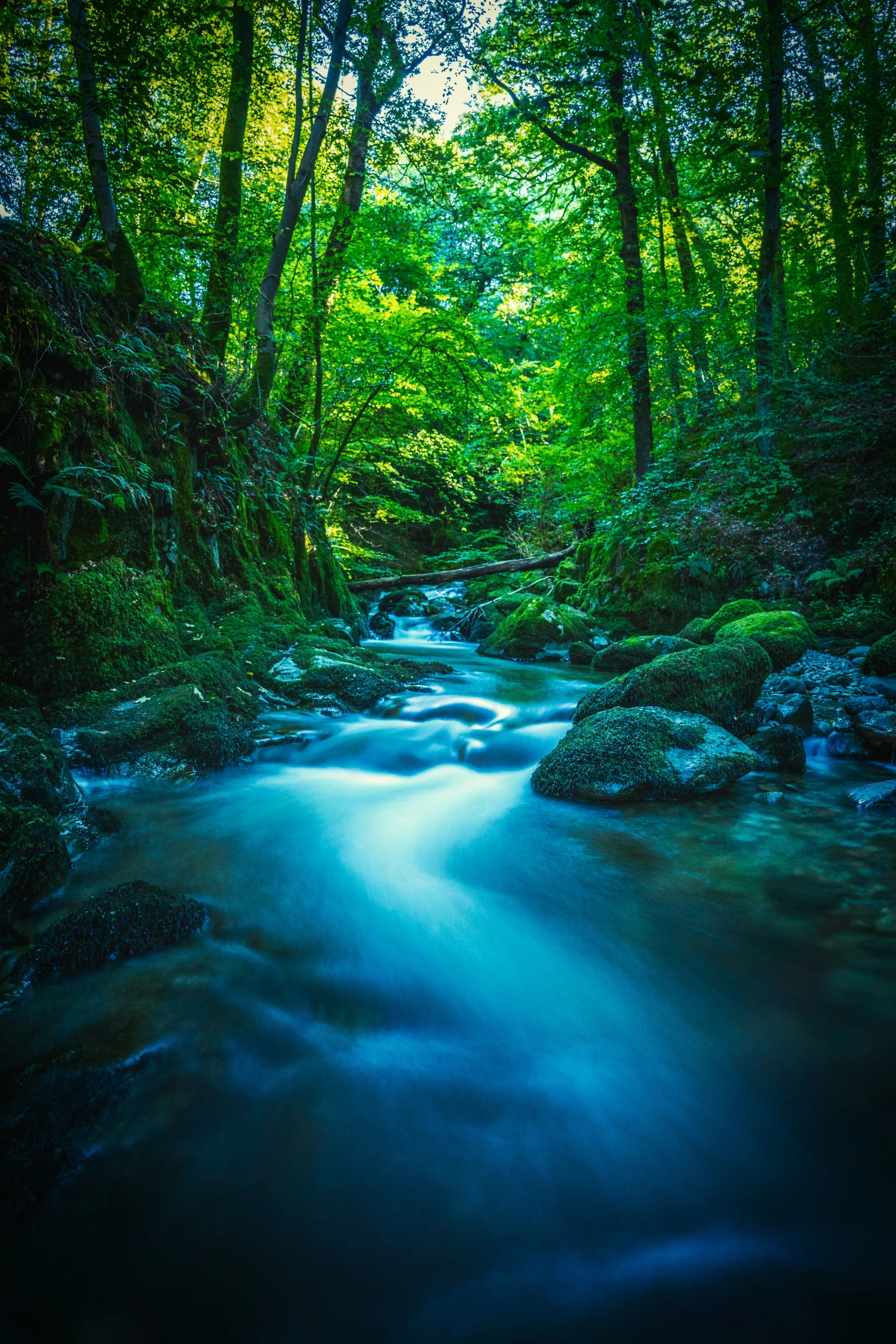 a beautiful stream with green trees in the background