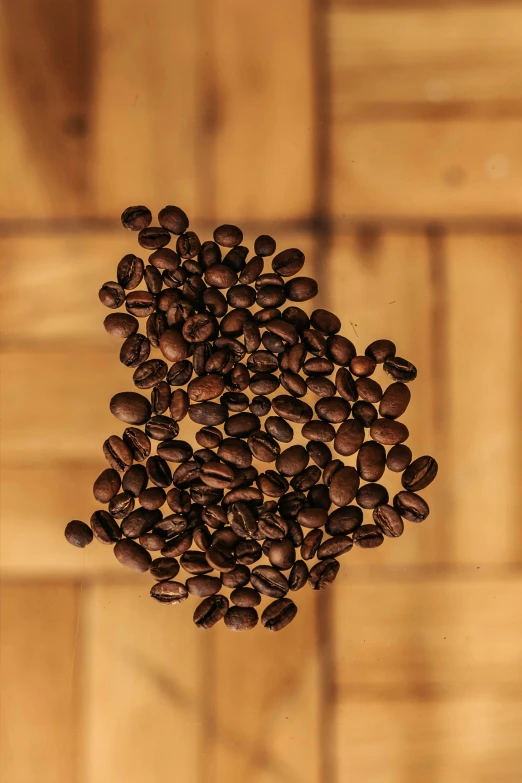 a bunch of coffee beans that are on a string