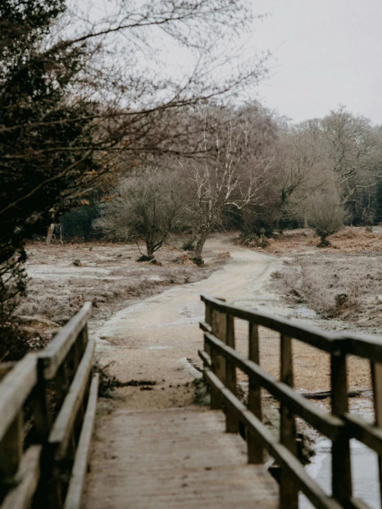 a path leading into a wooded area through snow