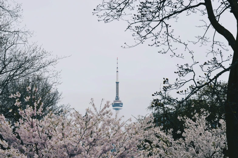 a large building towering over the trees