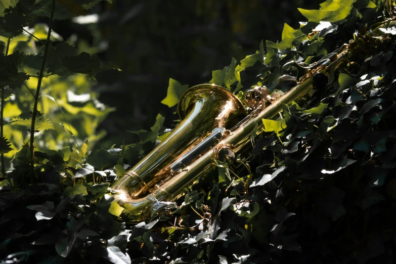 a saxophone nestled in some vegetation, surrounded by trees