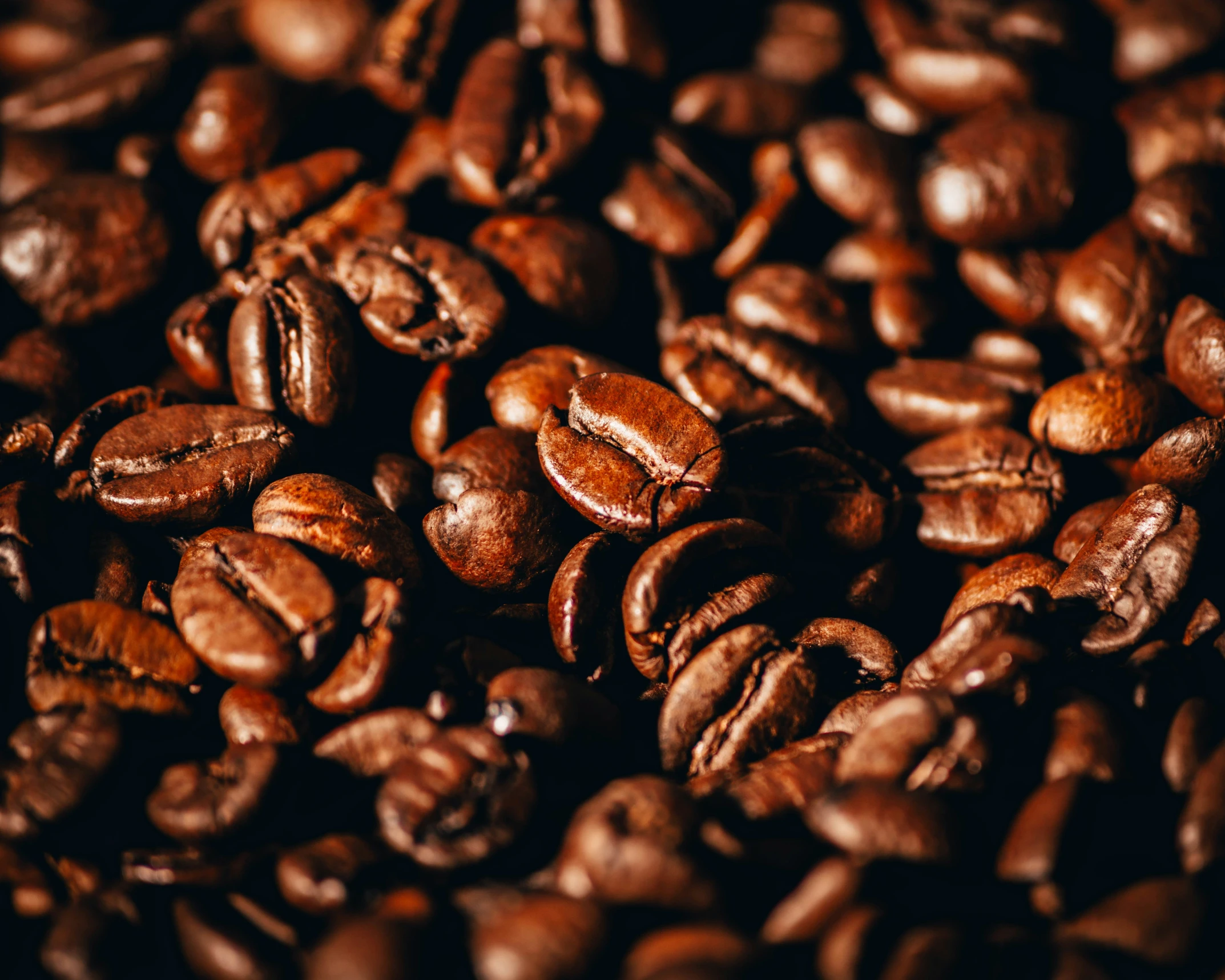 an image of roasted coffee beans in close up