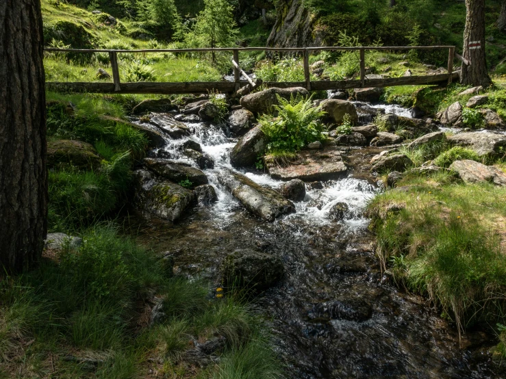 a small stream with water coming out from behind it