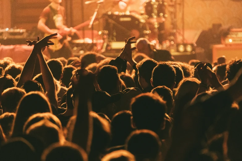 a crowd of people at a concert waving in front of a stage