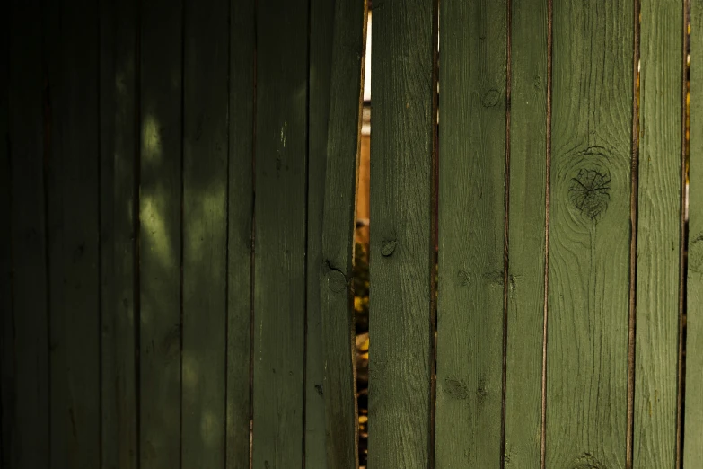 a white dog sticking its head through the wooden fence