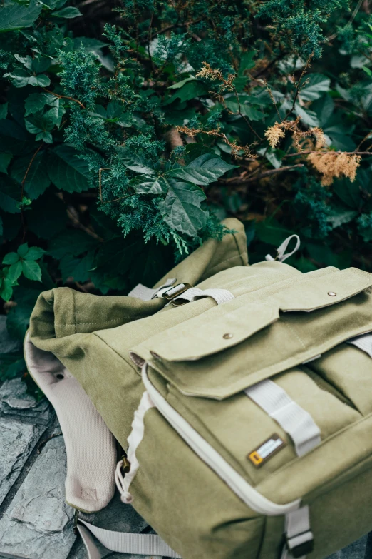 a bag is on the ground beside some plants