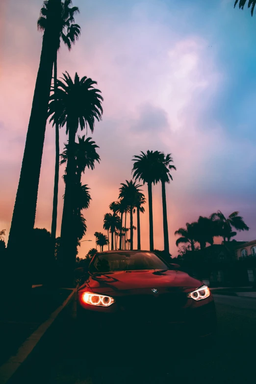 a car with its lights on next to palm trees