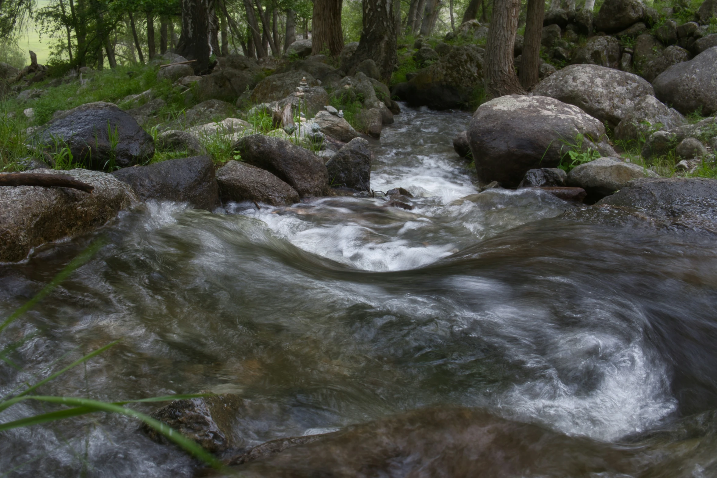 a creek is shown flowing in the woods