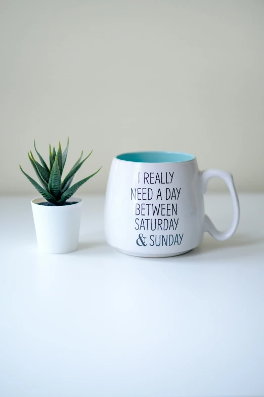 an image of a cup next to a cactus