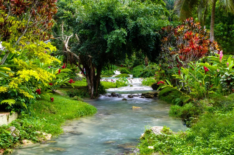 a river in the middle of some green brush