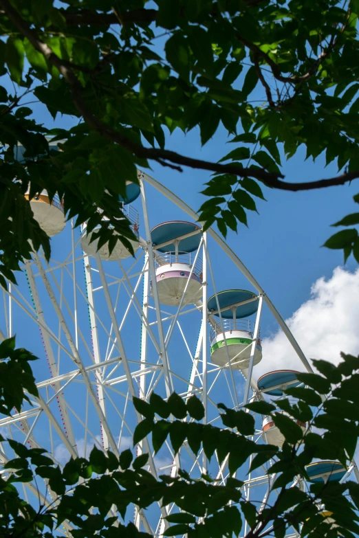 a large ferris wheel surrounded by green leaves