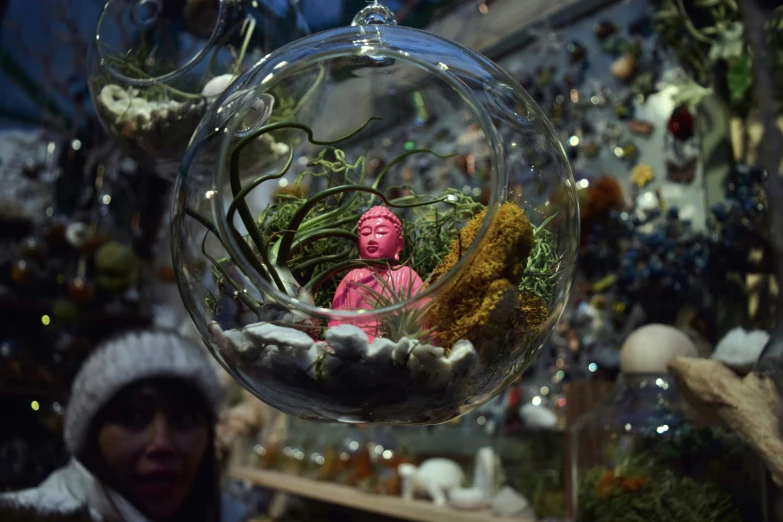 a close up of a glass ball containing plants