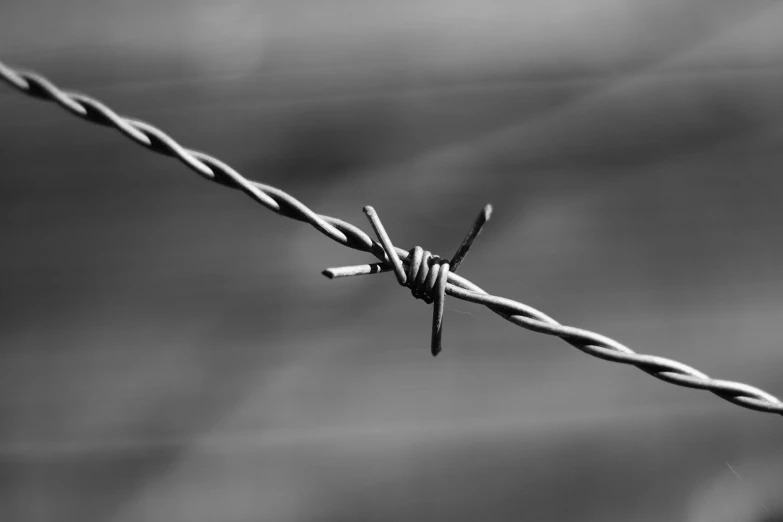 the wire of a fence with a few pieces of barbed wire