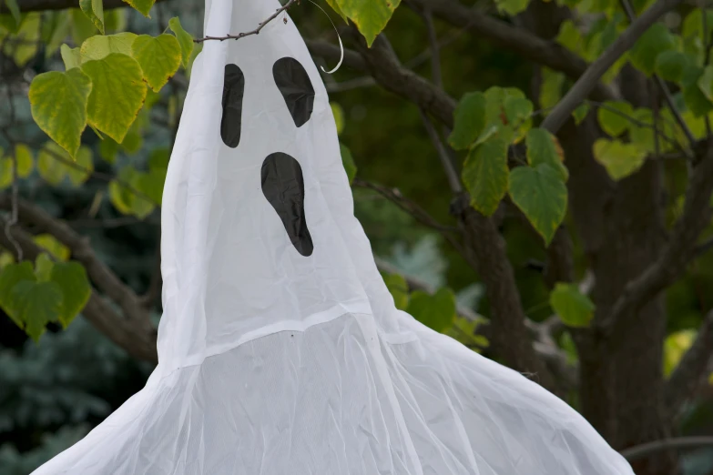 white mesh hanging from a tree with a black pair of footprints on it