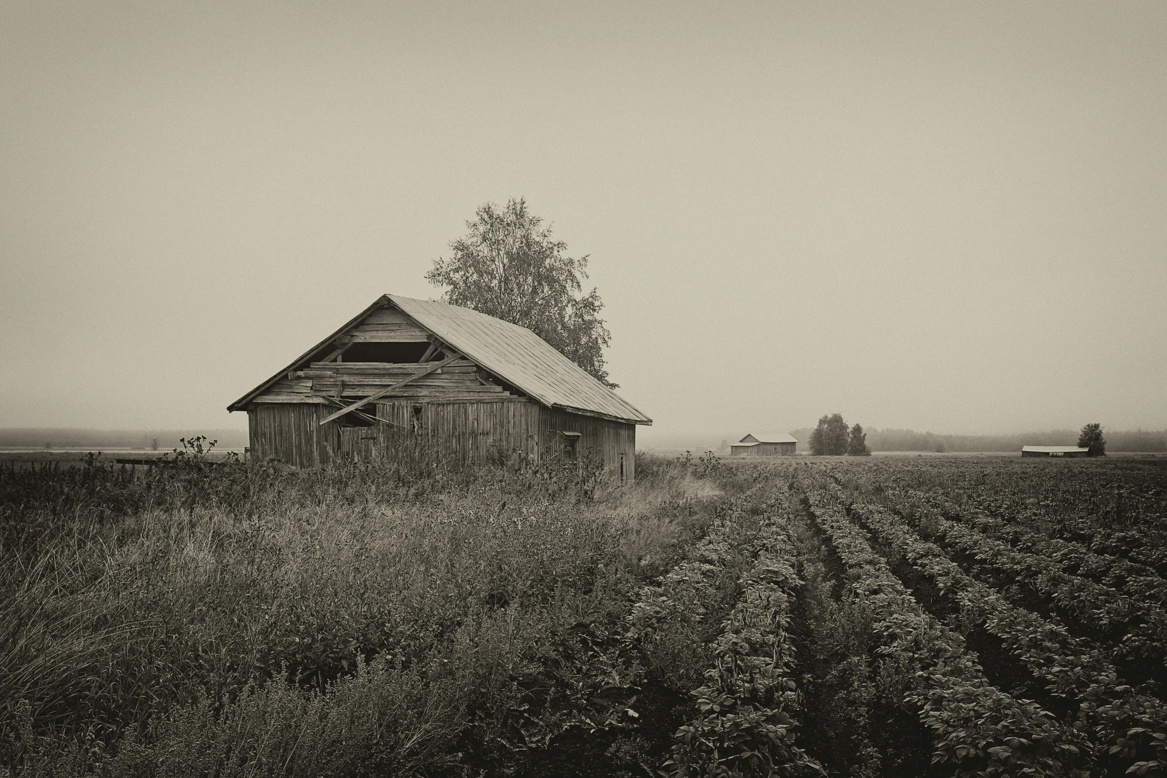 old wooden barn in a country field in winter