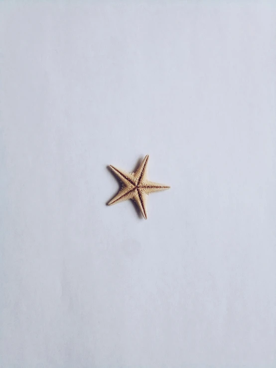 a gold metal pin with an individual's starfish