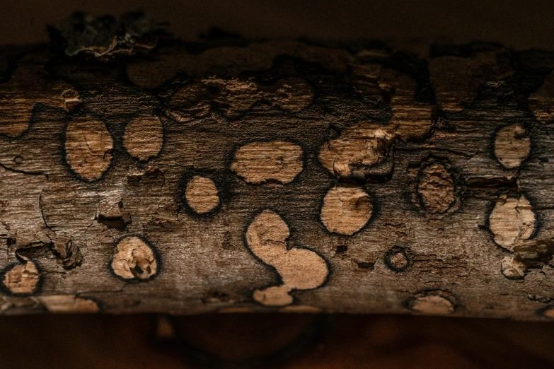 close up of a carved out piece of wood with holes