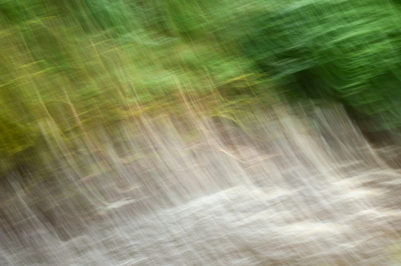 a blurry image of a red fire hydrant in a forest