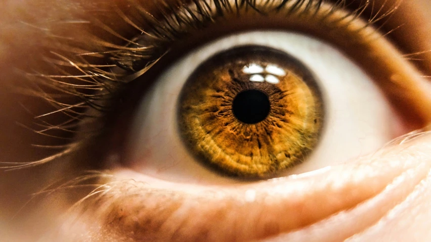 an extreme close up of an eye with brown and green iris