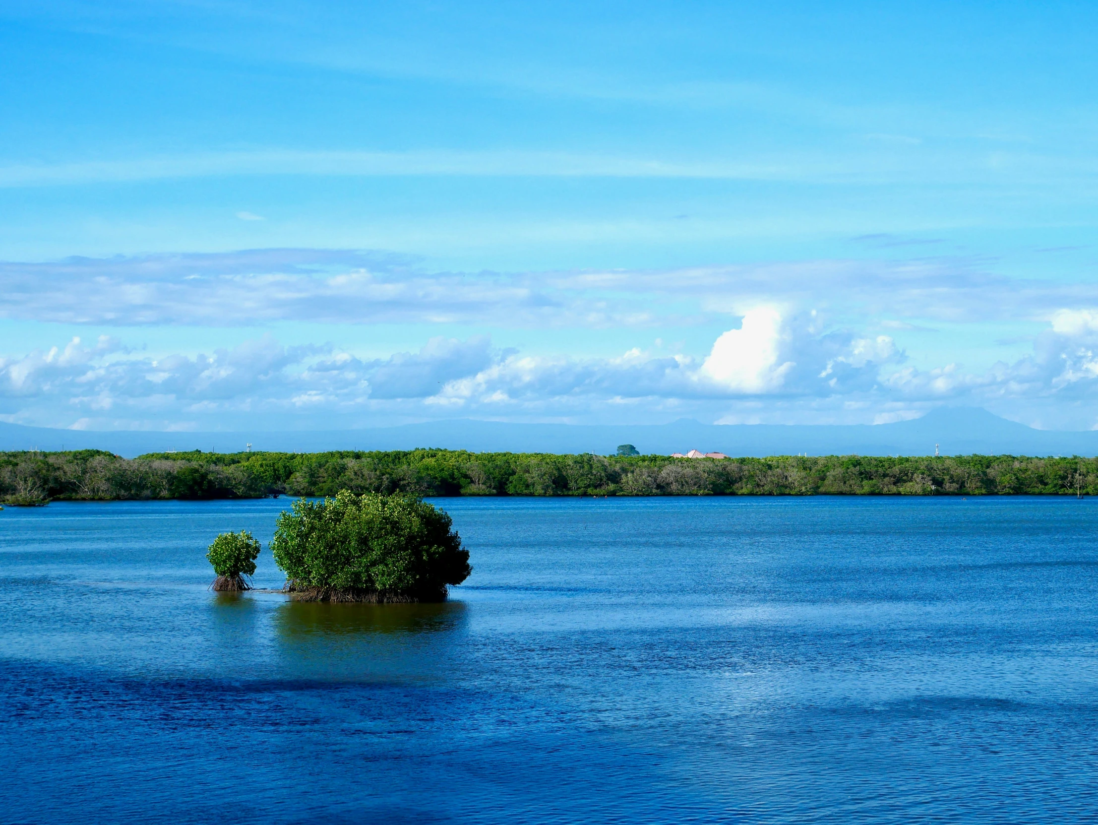 a lake surrounded by trees in the middle of it