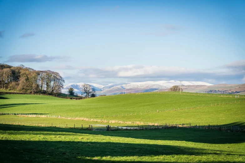 a po of some grass hills and mountains