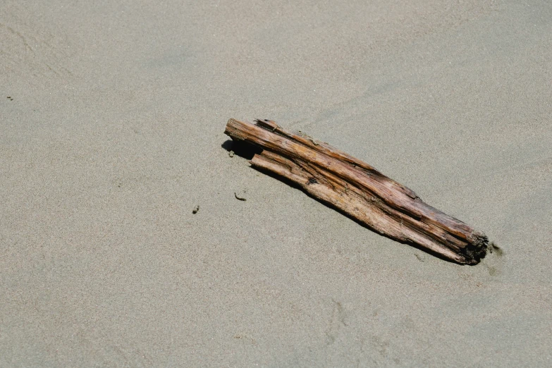 a close up of some type of driftwood that is laying on sand