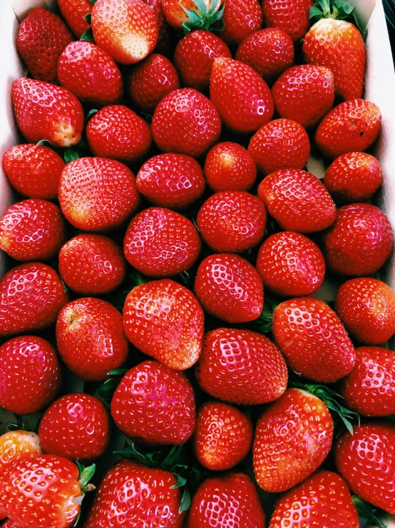 strawberries in a square white tray together on display