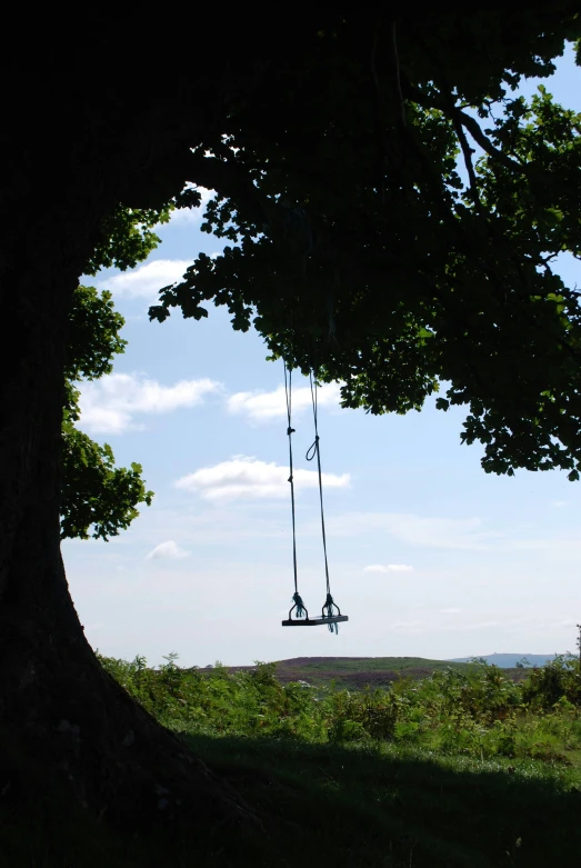 two seats hang from the back of a tree with a view of the field below