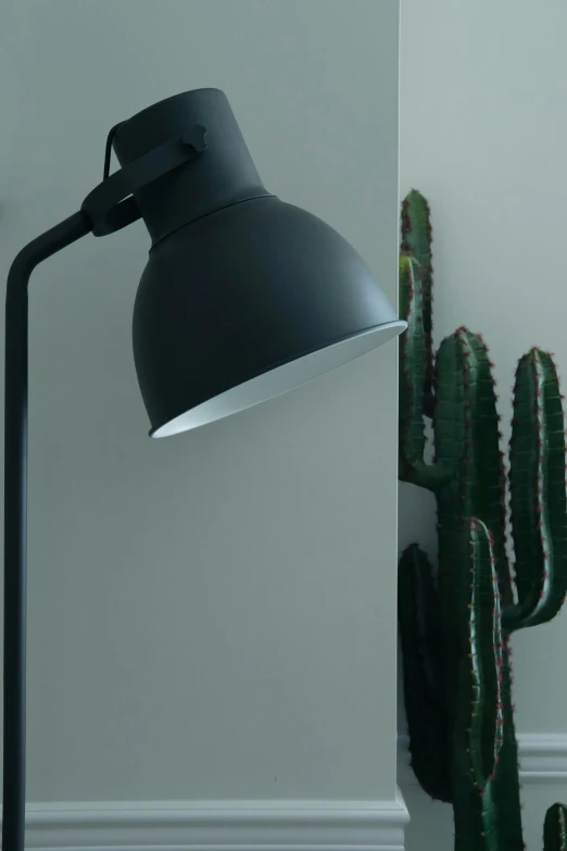 black lighting next to a cactus and wall