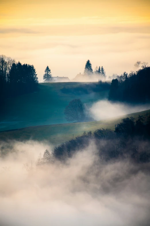 fog is flowing from the valley below the trees